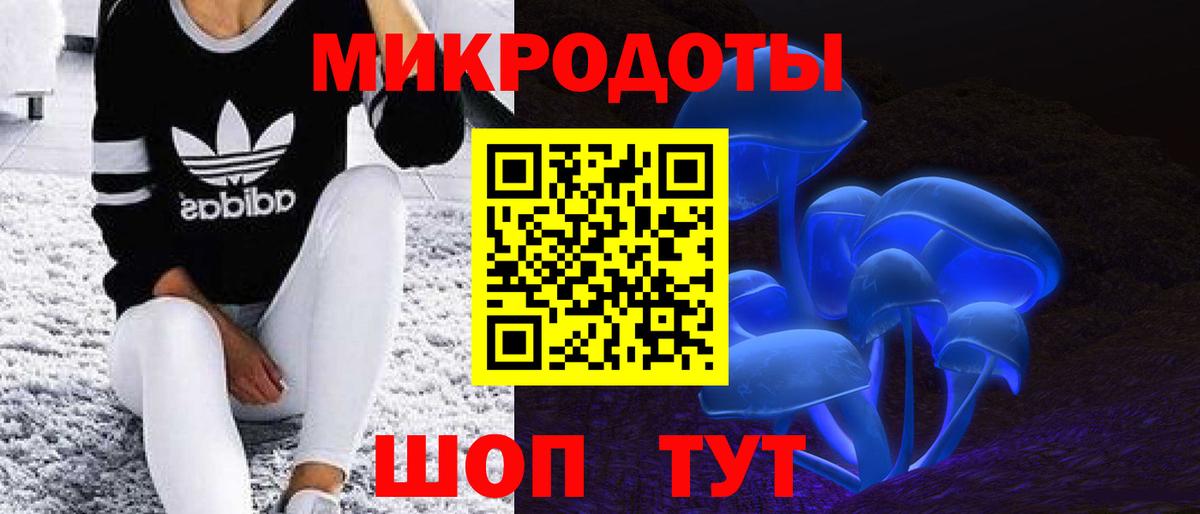 Корсаков  Галлюциногенные грибы Cubensis  Вход с VPN 